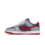 Nike Dunk Low CO.JP Samba (2020)