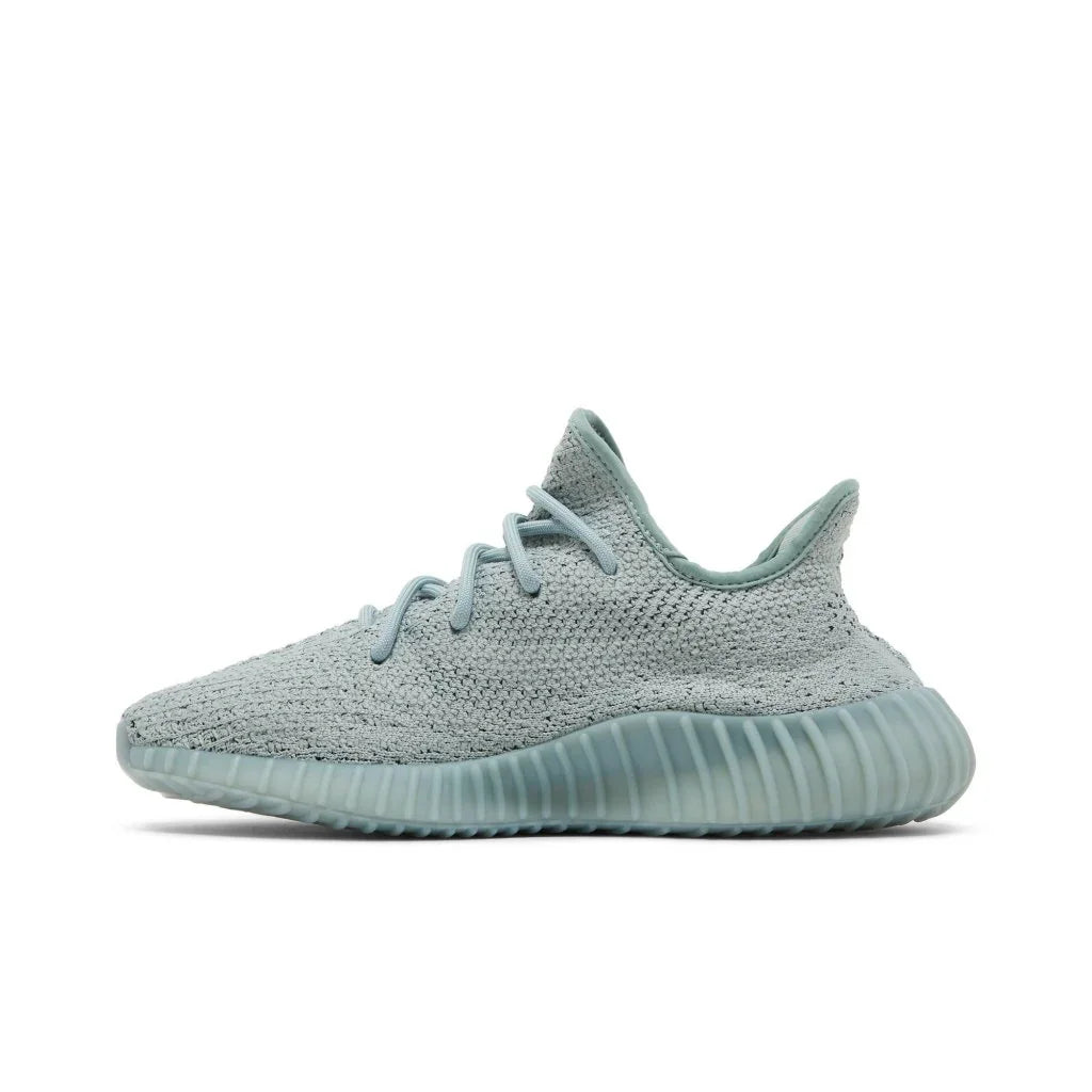 adidas Yeezy Boost 350 V2 Salt boty