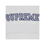 Supreme Collegiate Sleeve Hooded Sweatshirt 'Ash Grey'