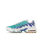 Nike Air Max Plus Aqua - Nike Air Max