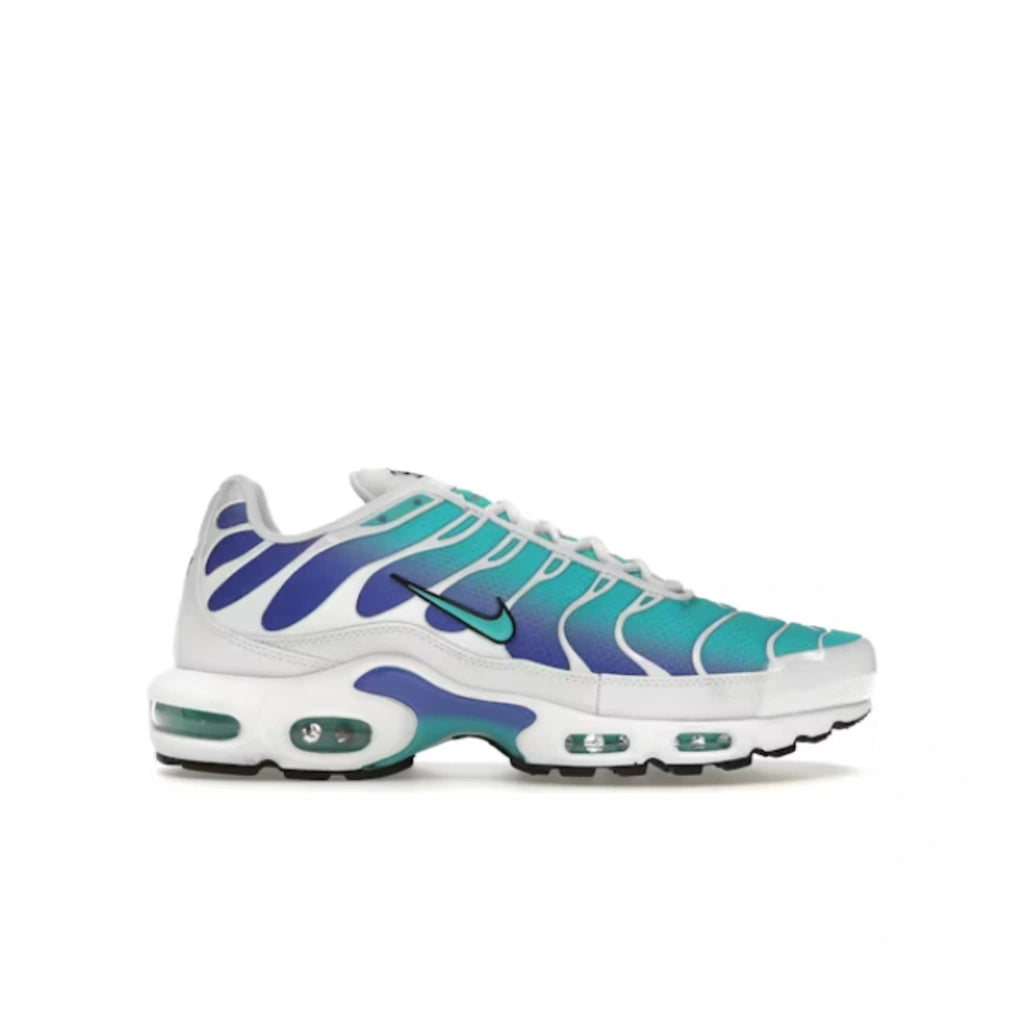 Nike Air Max Plus Aqua - Nike Air Max