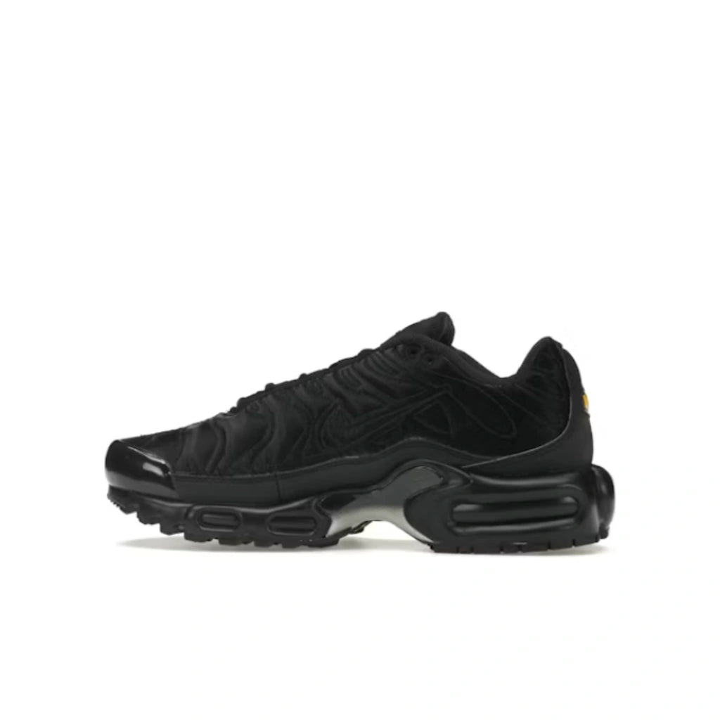 Nike Air Max Plus Black Anthracite Sail (W)