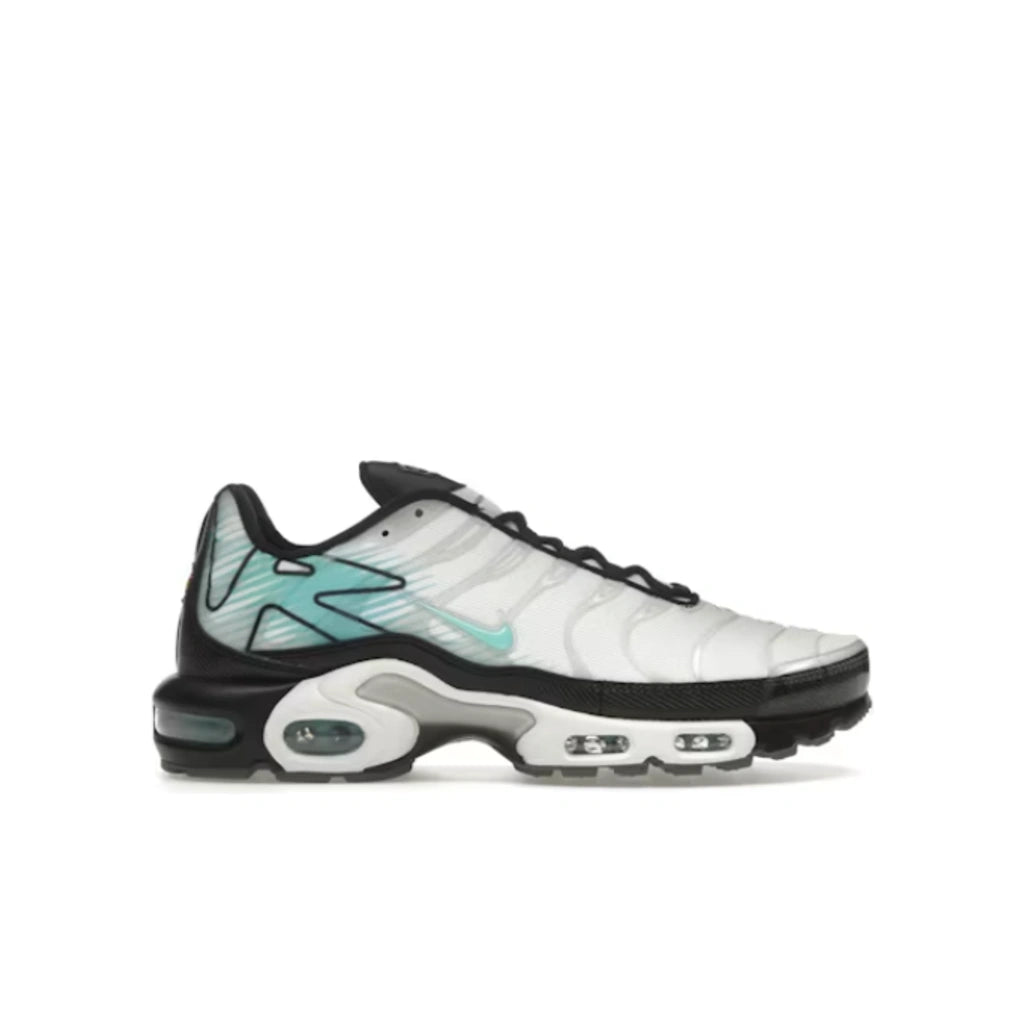Nike Air Max Plus Mercurial Vapor - Nike Air Max
