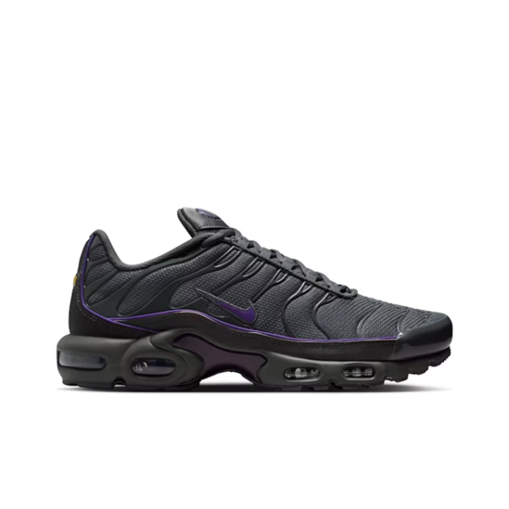 Nike Air Max Plus OG Iron Grey Wild Grape - Nike Air Max