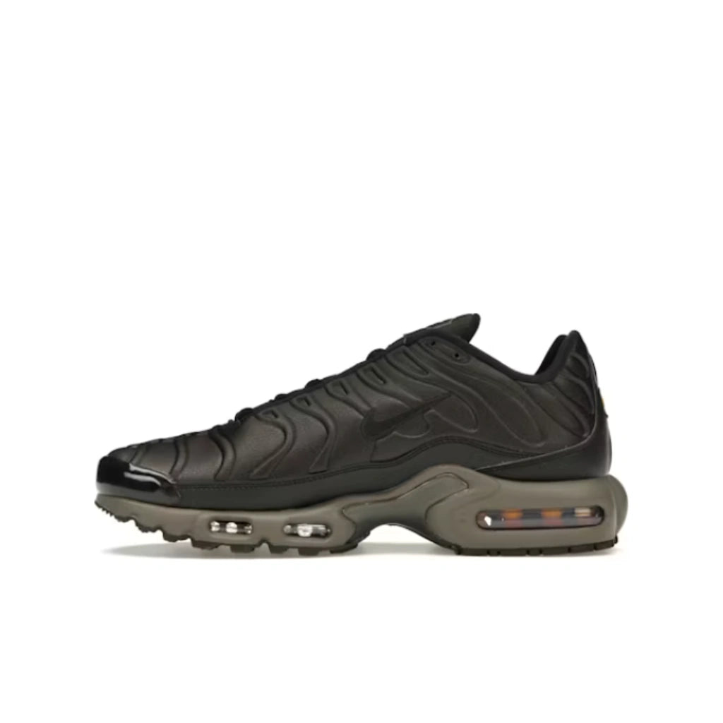 Nike Air Max Plus Premium Paris