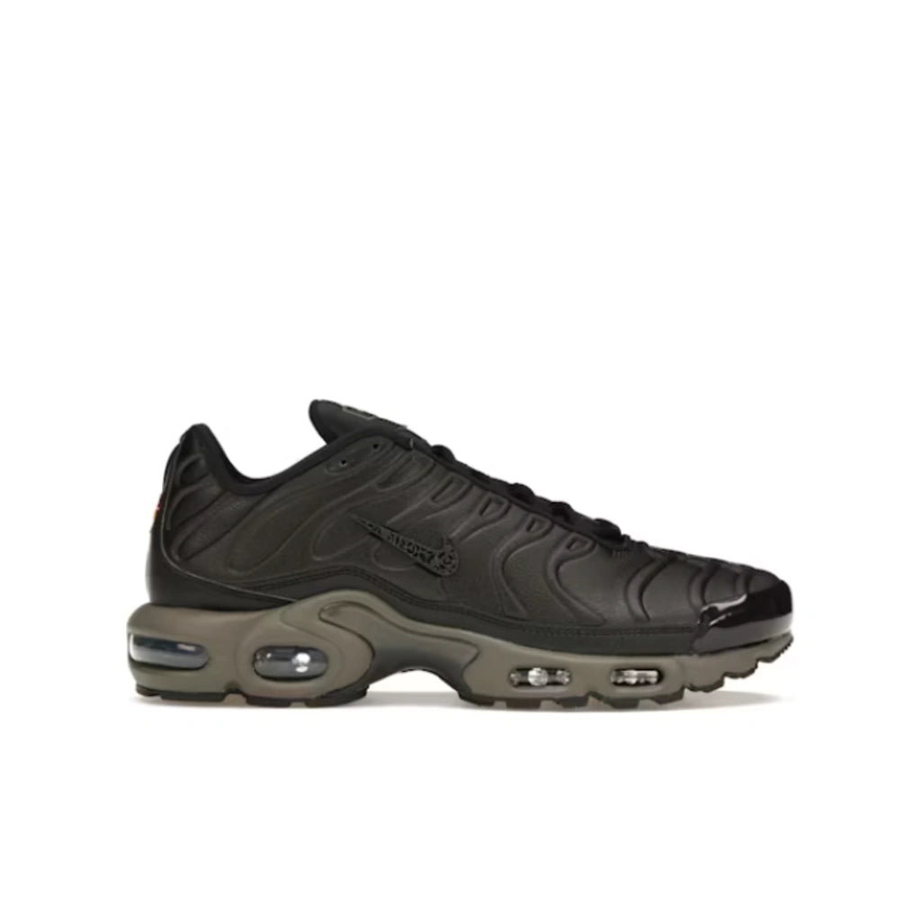 Nike Air Max Plus Premium Paris