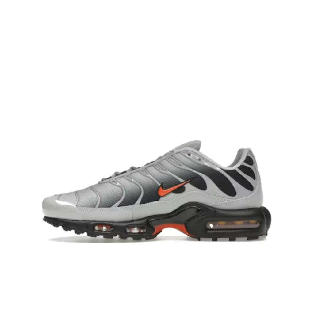 Nike Air Max Plus Wolf Grey Picante Red