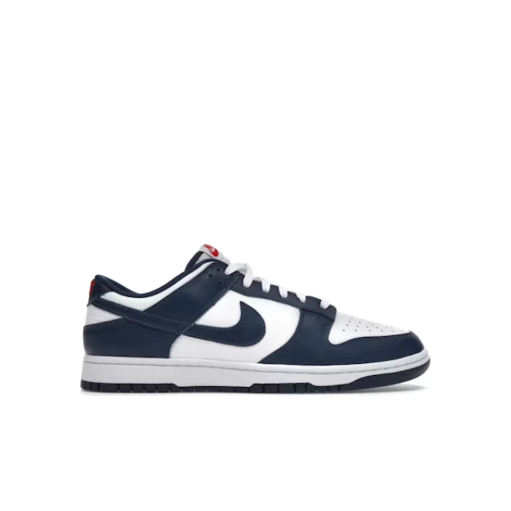 Nike Dunk Low Valerian Blue