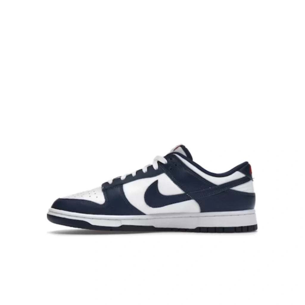 Nike Dunk Low Valerian Blue