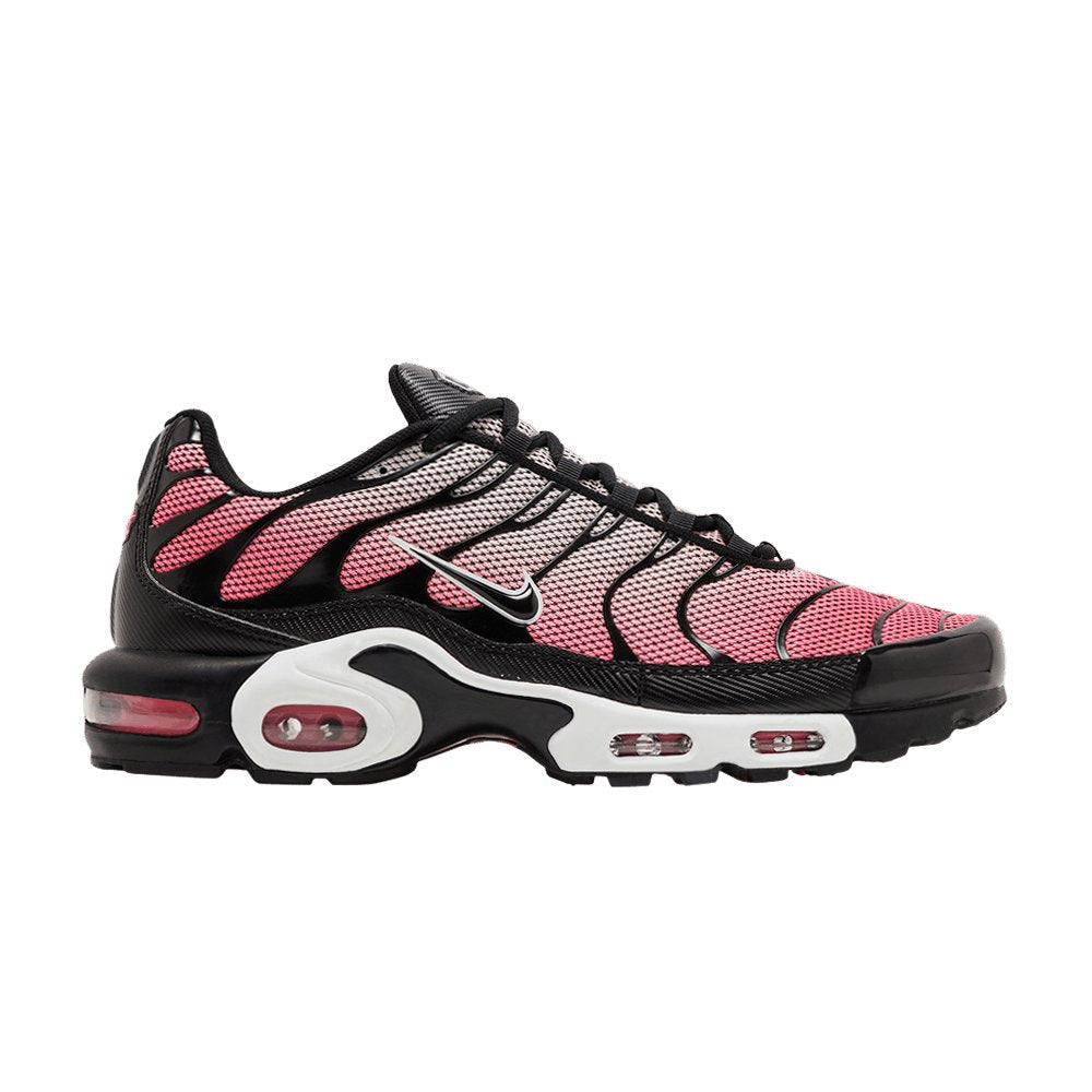Nike Air Max Plus All Day